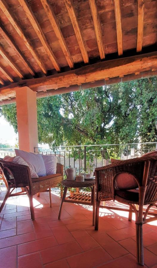 סן וינצ'נזו Residence Solalto מראה חיצוני תמונה